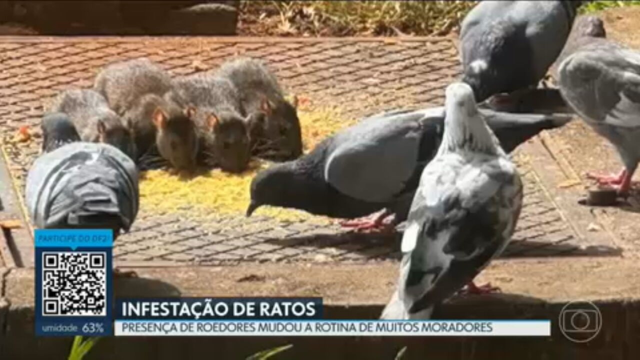 foto Not&iacute;cia Guará